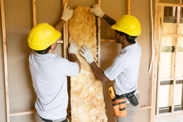 Best Wall Insulation Installation  in Lemmon Valley, NV